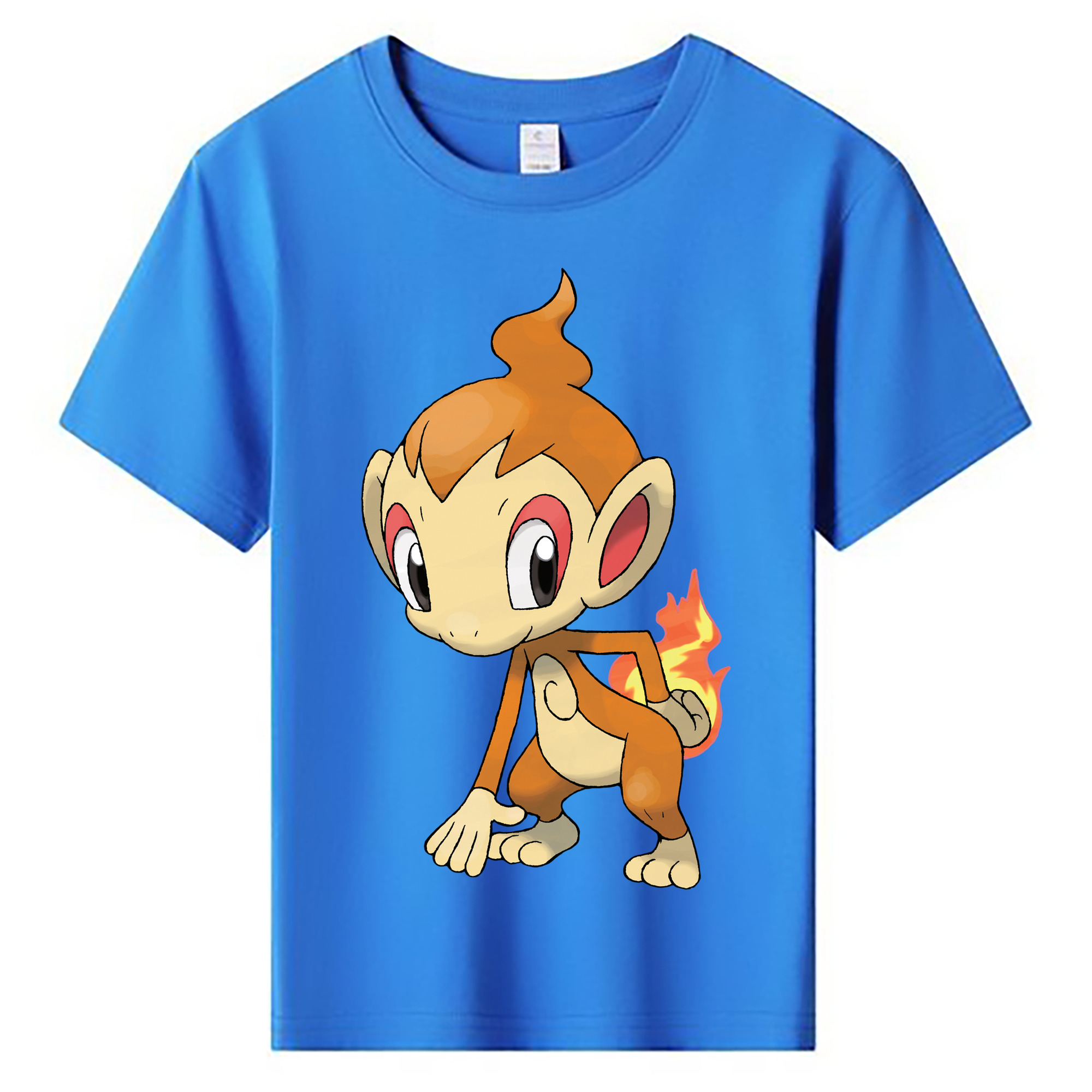 （画像用） ポケットモンスター Pokémon 綿100％キッズTシャツ（フロントプリント）